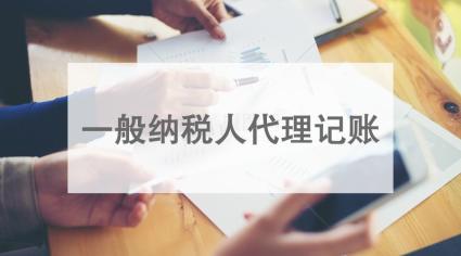 一般纳税人